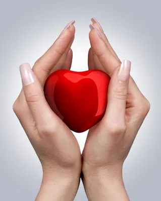 Красное сердце в руках мужчины и женщины, изолированные на белом | Премиум  Фото