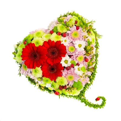 Сердце Цветы Png - Бесплатное изображение на Pixabay - Pixabay