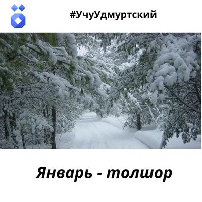 Картина по номерам Середина зимы 40 х 50 см (VP818) (ID#890812895), цена:  397 ₴, купить на 