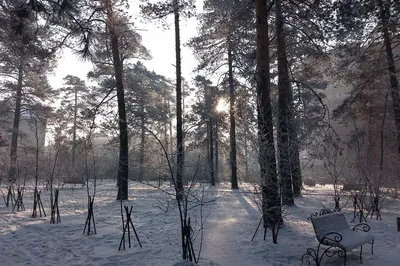 Народные приметы и праздники в январе