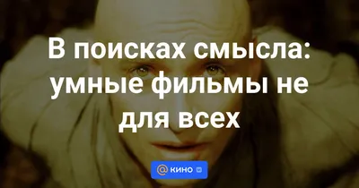 Мудрые цитаты со смыслом в красивом оформлении — Canva