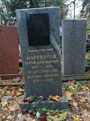 Мартинсон Сергей Александрович — Пантеон России