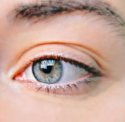 Светло-серо-голубой глаз смотрит прямо в объектив крупным планом | Премиум  Фото