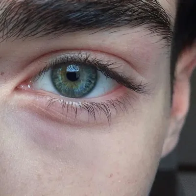 Зелёные глаза | Зеленые глаза, Цвет глаз, Глаза