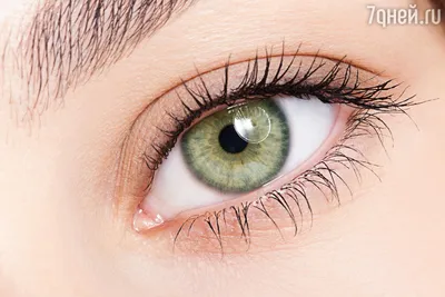 Эстетика серо-голубо-зеленых глаз
