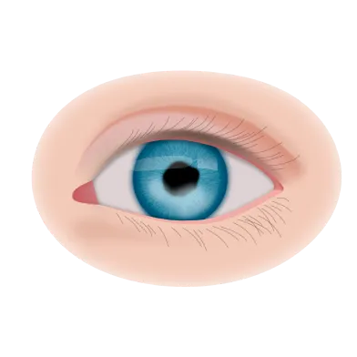 Лечение заболеваний сетчатки глаза: цены на операции, консультация  офтальмолога в клинике «Эксимер»