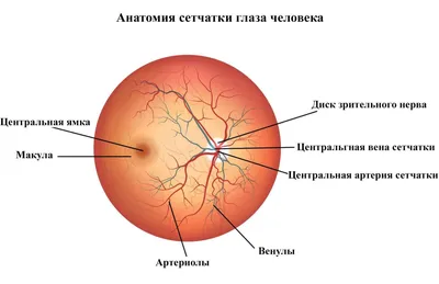 Лечение сетчатки - Prozir