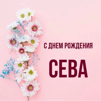 Сева С Днем Рождения #2