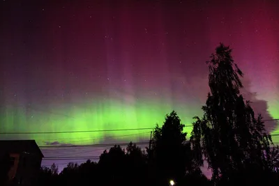 Фото и видео северного сияния в Перми в ночь на 19 сентября - 19 сентября  2023 - 