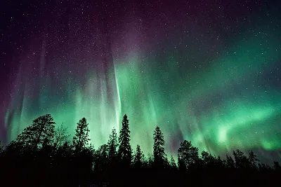 Впечатляющие фотографии северного сияния над Польшей - Закордон