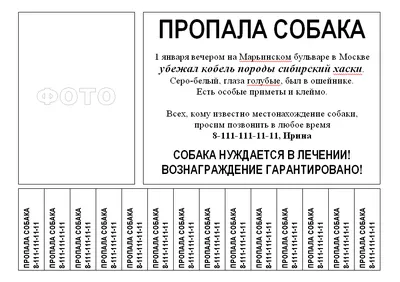 Шаблон листовки №16203 - универсальные, рекламное агентство, реклама -  скачать листовку A6 на PRINTUT