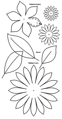 Цветы шаблоны для вырезания Раскраски распечатать бесплатно. | Шаблон  цветка, Цветочная гирлянда, Цветы шаблоны