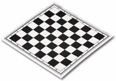 Поле шахматное сборное, пластмасса 3,3х3,3 м: купить для школ и ДОУ с  доставкой по всей России