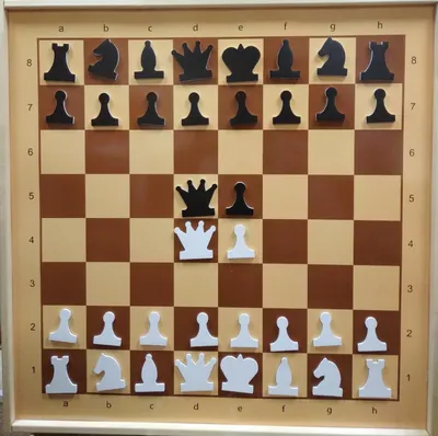 Доска шахматная демонстрационная цельная с фигурами (73 х 73 см)
