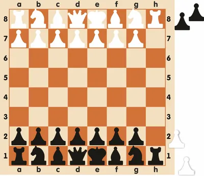 Правильная расстановка шахмат на доске - как расставить шахматные фигуры с  фото