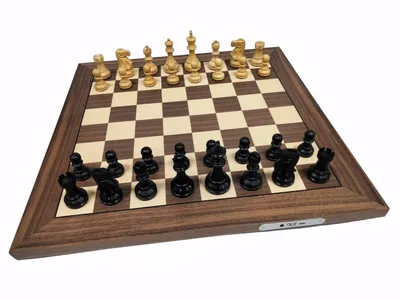 Урок 1. Шахматная доска и фигуры | Школа шахмат 64 | Дзен