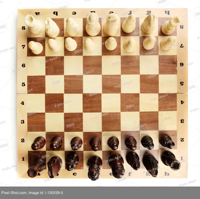 Шахматы магнитные с фигурами, складная шахматная доска купить по цене 799 ₽  в интернет-магазине KazanExpress