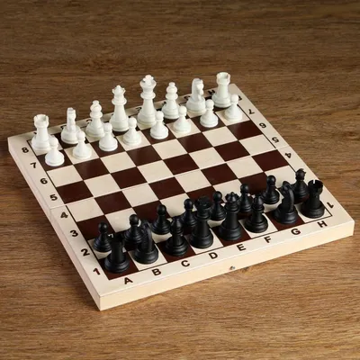 Шахматные фигуры, король высота -6.2 см, пешка высота -3.2 см, черно-белые  - купить с доставкой по выгодным ценам в интернет-магазине OZON (956573476)