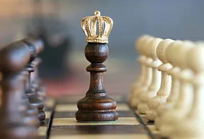 Прощай, король, прощай!». Как и почему шахматный мир снова остался без  чемпиона — OfficeLife