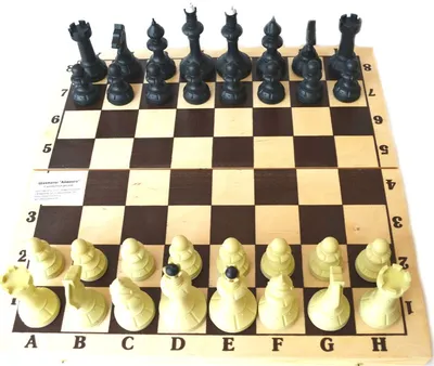 Шахматы. Обучение шахматам в Петропавловске.