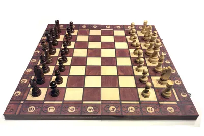 Шахматы, Шашки, Нарды 3 в 1 деревянные 34 х 34 см - купить с доставкой по  выгодным ценам в интернет-магазине OZON (1119528775)