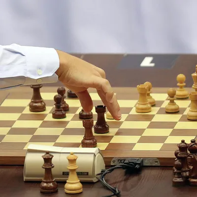 От перехода в Азию российские шахматы только выиграют» | Статьи | Известия