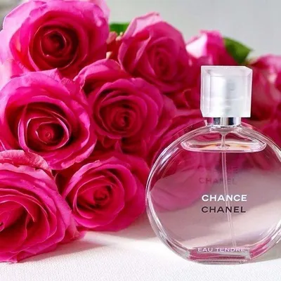 Камелия Chanel - самый трендовый цветок 2023 - 2024 | SilkFlora - кутюрная  вышивка своими руками | Дзен