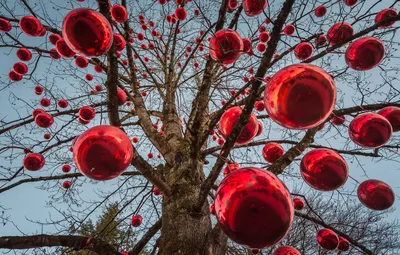Воздушные гелиевые шары (шарики) на годик: фонтан из 10 шаров,  фольгированная цифра и шар-гигант с индивидуальной надписью, Цветы и  подарки в Красноярске, купить по цене 8112 руб, Воздушные шары в Воздушные  шары.