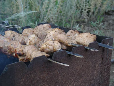 Шашлыки на природе отменяются