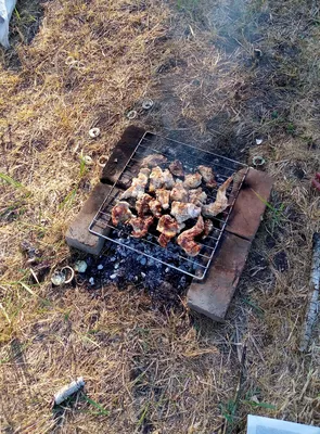 Меню из несложных блюд на пикник: от закуски к шашлыку