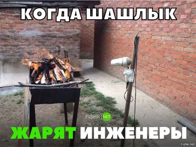 Инженеры жарят шашлык