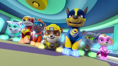 Игрушка Щенячий патруль машинка с Маршалом Paw Patrol 6054135 - Интернет -  магазин игрушек 