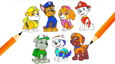 Набор щенят Щенячий патруль (Paw patrol) - Купить Набор 8 героев в плащах |  Интернет-магазин детских игрушек по выгодным ценам 