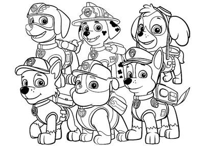 Раскраска Эверест - Щенячий патруль | Раскраски Щенячий патруль (PAW Patrol)