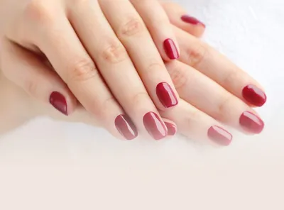 Покрытие ногтей гибридом геля и лака Shellac, укрепление натуральных ногтей  Шеллак, маникюр Shellac Ombre - Студия-салон красоты ИЗУМИ в Центральном  районе в Санкт-Петербурге