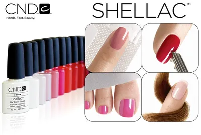 Сколько стоит шеллак - стоимость покрытия shellac для ногтей в салоне