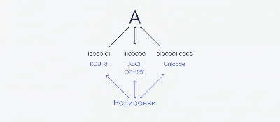 Шифрование файлов при помощи AES Crypt в Windows и macOS