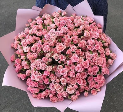 Самый красивый букет роз - красивые фото