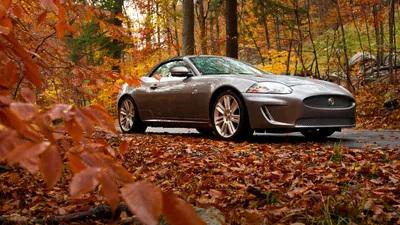 Осень-осень... Красивые машины в яркой листве: фотопост - читайте в разделе  Подборки в Журнале Авто.ру