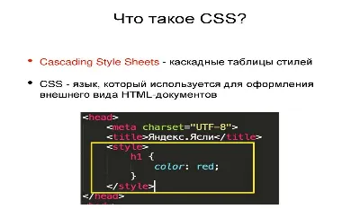 Изучаю bootstrap неправильно отображаются картинки - Остальное - Форум  JScourse