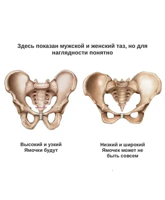 ЯМОЧКИ НА ЯГОДИЦАХ СБОКУ | Светлана Гончарова | фитнес | осанка | | Дзен