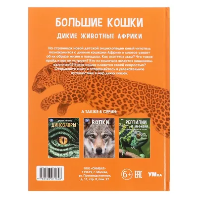 Энциклопедия «Большие кошки. Дикие животные Африки», 48 страниц купить в  Чите Энциклопедии в интернет-магазине Чита.дети (10063127)