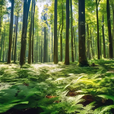 Флора смешанных и широколиственных лесов - 52 фото