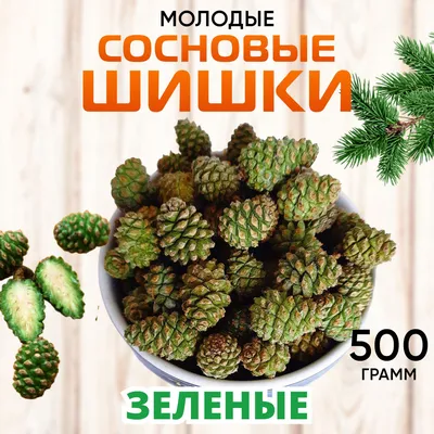 Сосновая шишка белая на вставке, 30 см