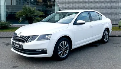 Рестайлинг Skoda Octavia 2024 - КОЛЕСА.ру – автомобильный журнал