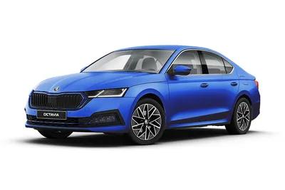 Skoda Octavia (c 2013 года): Не сломаешь, не убьешь | Авто с пробегом |  Ежедневный информационный портал 