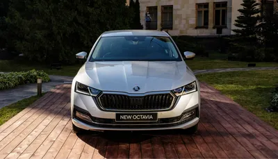 Обзор Skoda Octavia 4×4: четырёхглазое такси / Цифровой автомобиль