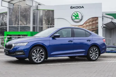 Все проблемы и косяки Skoda Octavia A7! Отзыв владельца Шкода Октавия А7  1.4 TSI + тест драйв - YouTube