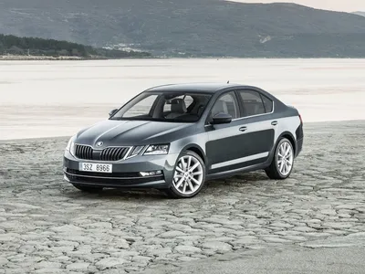 Новая Skoda Octavia полностью рассекречена — Авторевю