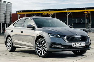 Skoda Octavia Wagon (Шкода Октавия Универсал) - Продажа, Цены, Отзывы,  Фото: 3064 объявления